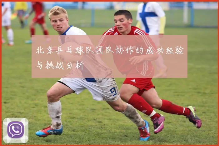 北京乒乓球队团队协作的成功经验与挑战分析